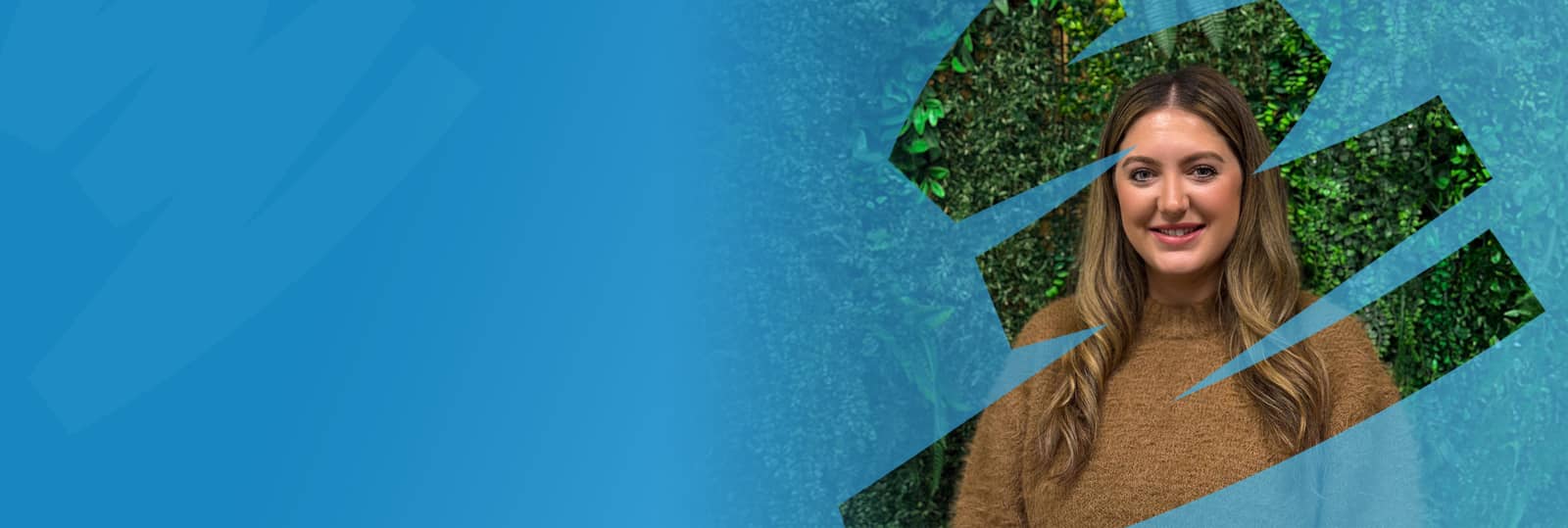 Decorative header image object-cover