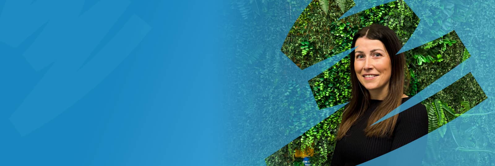 Decorative header image object-cover