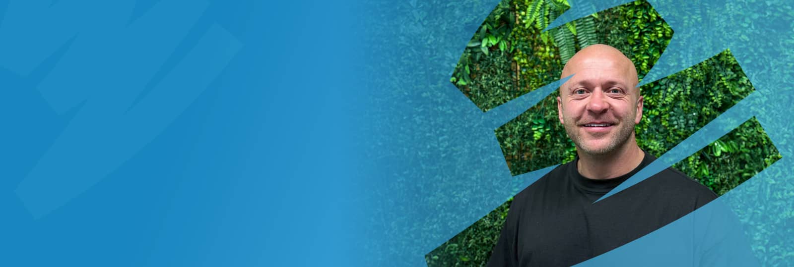 Decorative header image object-cover