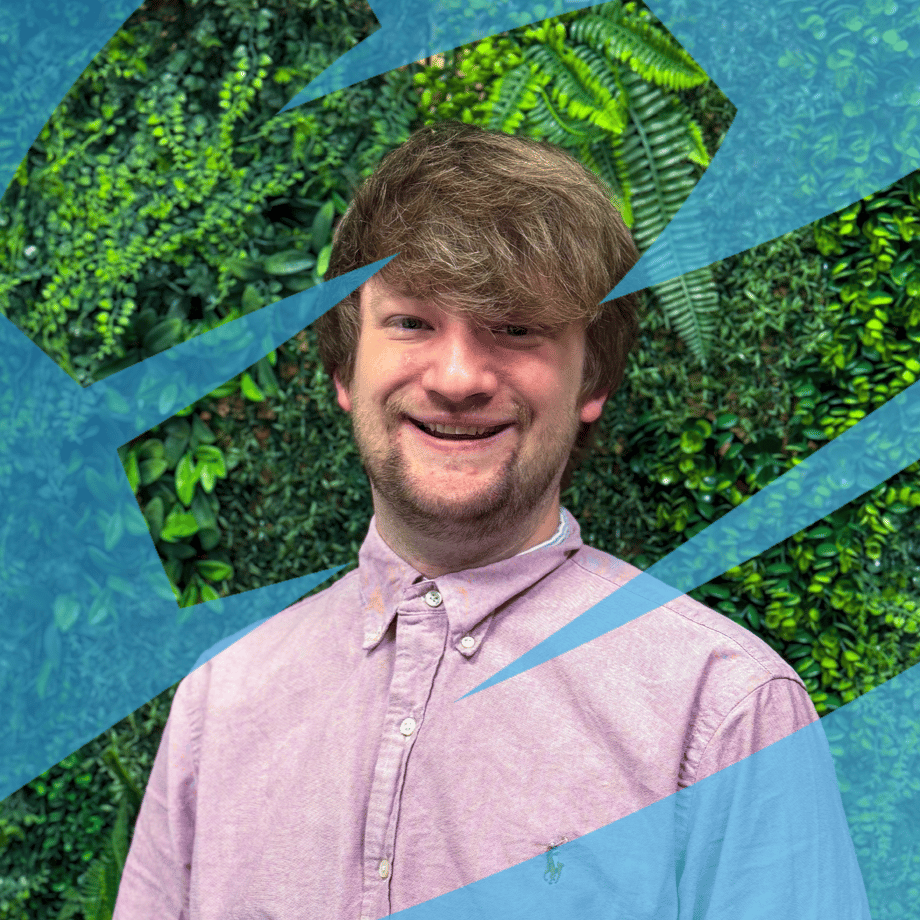 Decorative header image object-cover