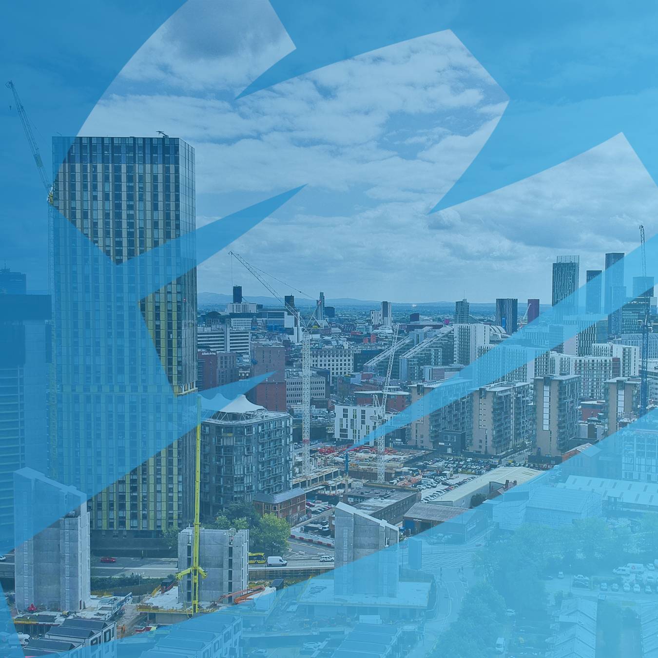 Decorative header image object-cover