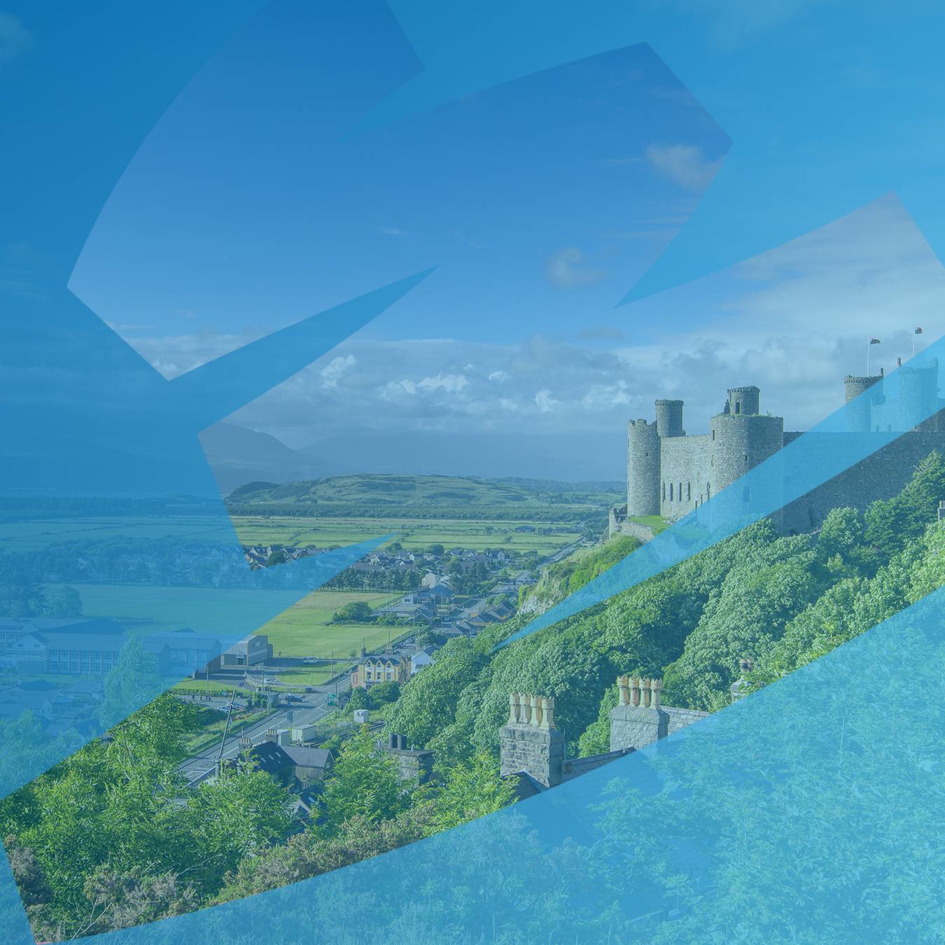 Decorative header image object-cover