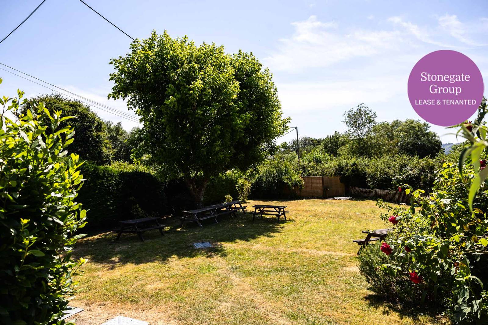 Elsted Inn Elsted Marsh - photo 17