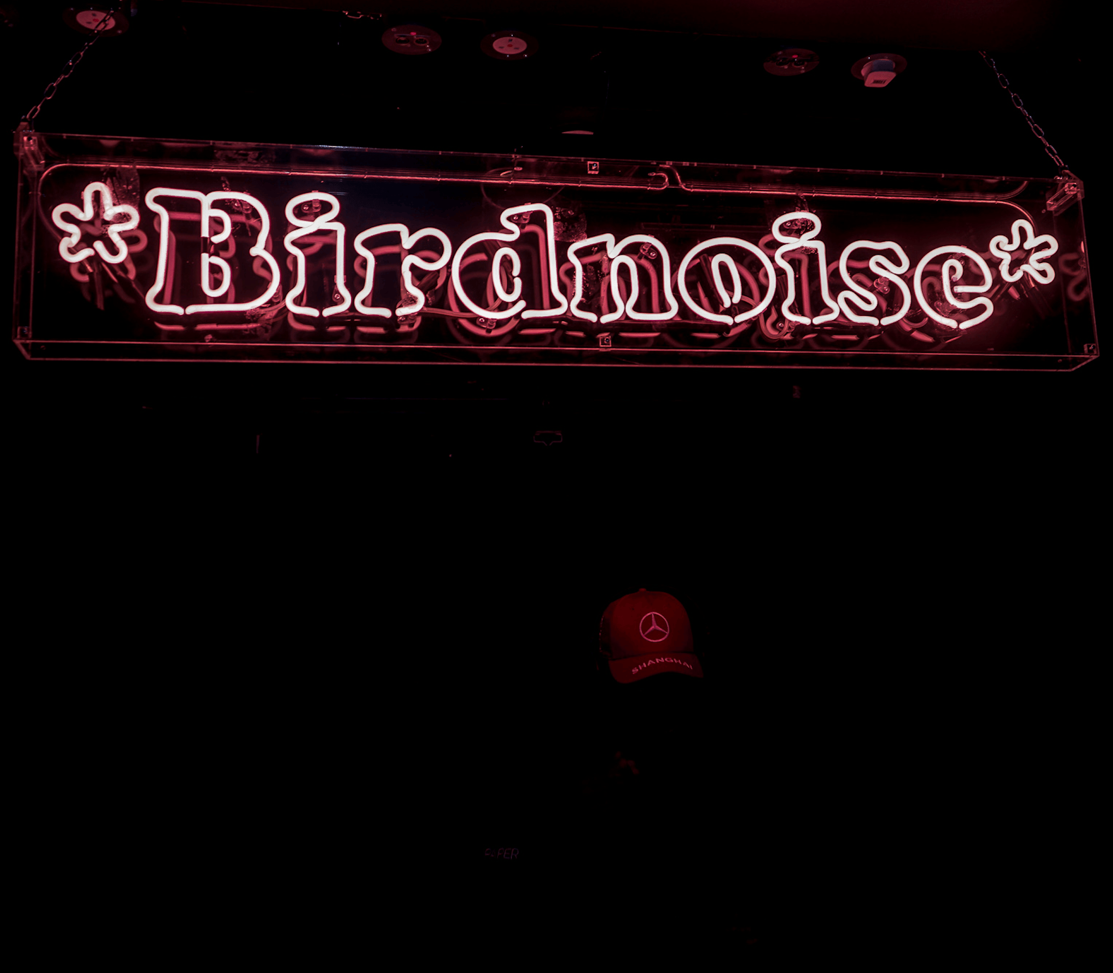 *BIRDNOISE* RNB EDITION - ALL NIGHT LONG