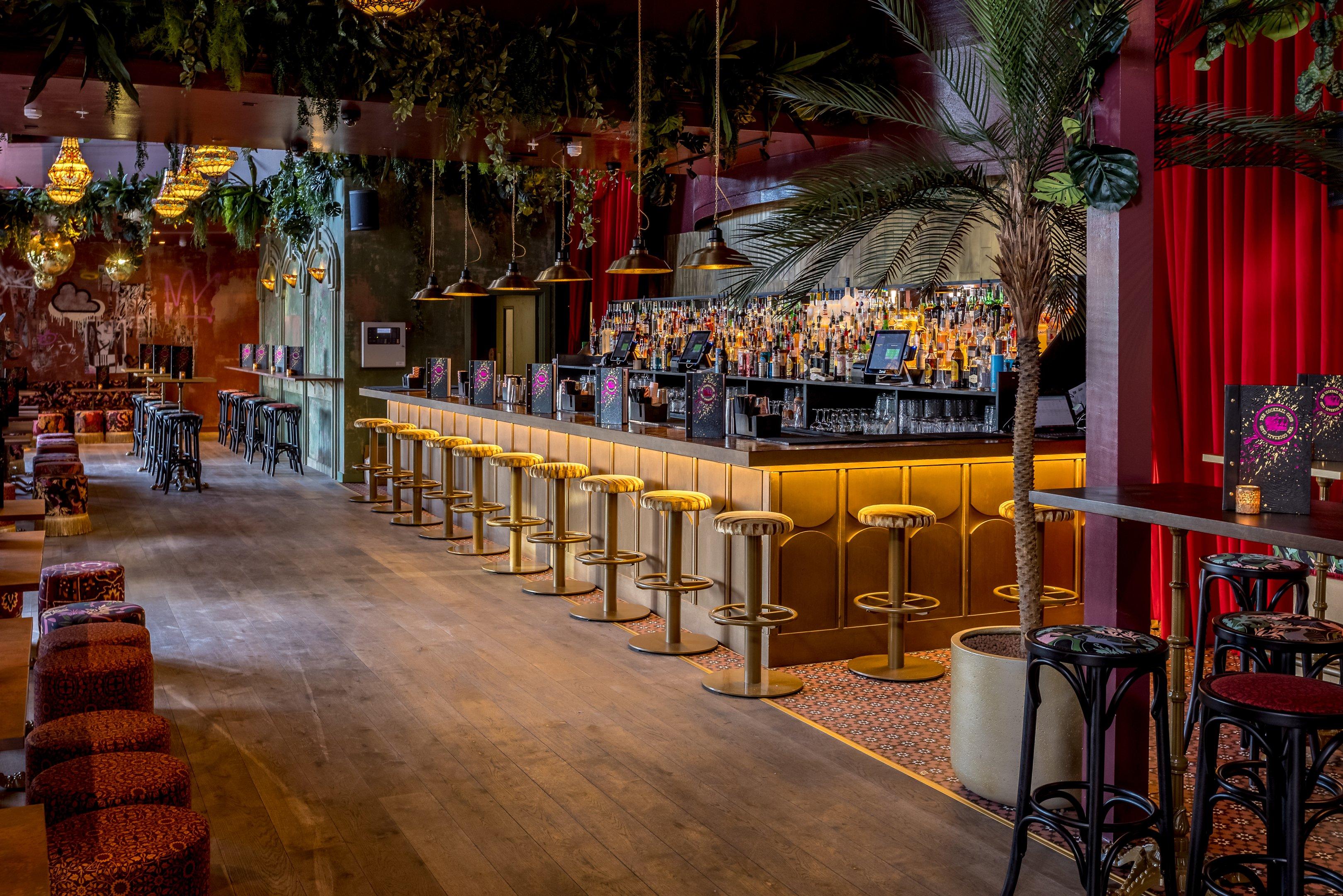 A bar area with a golden bar and stool seating and plants hanging from the ceiling