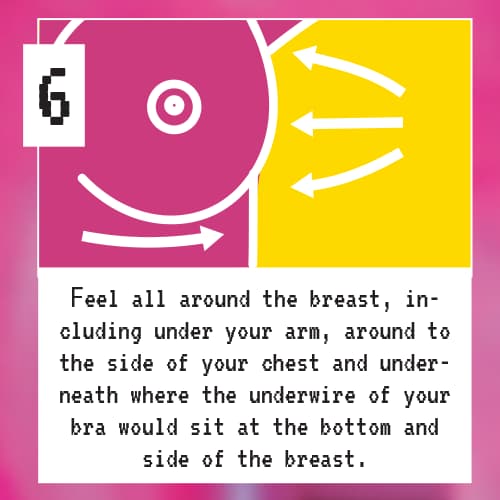 Nikki's Chest Checklist - Step 6