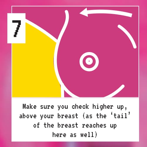 Nikki's Chest Checklist - Step 7