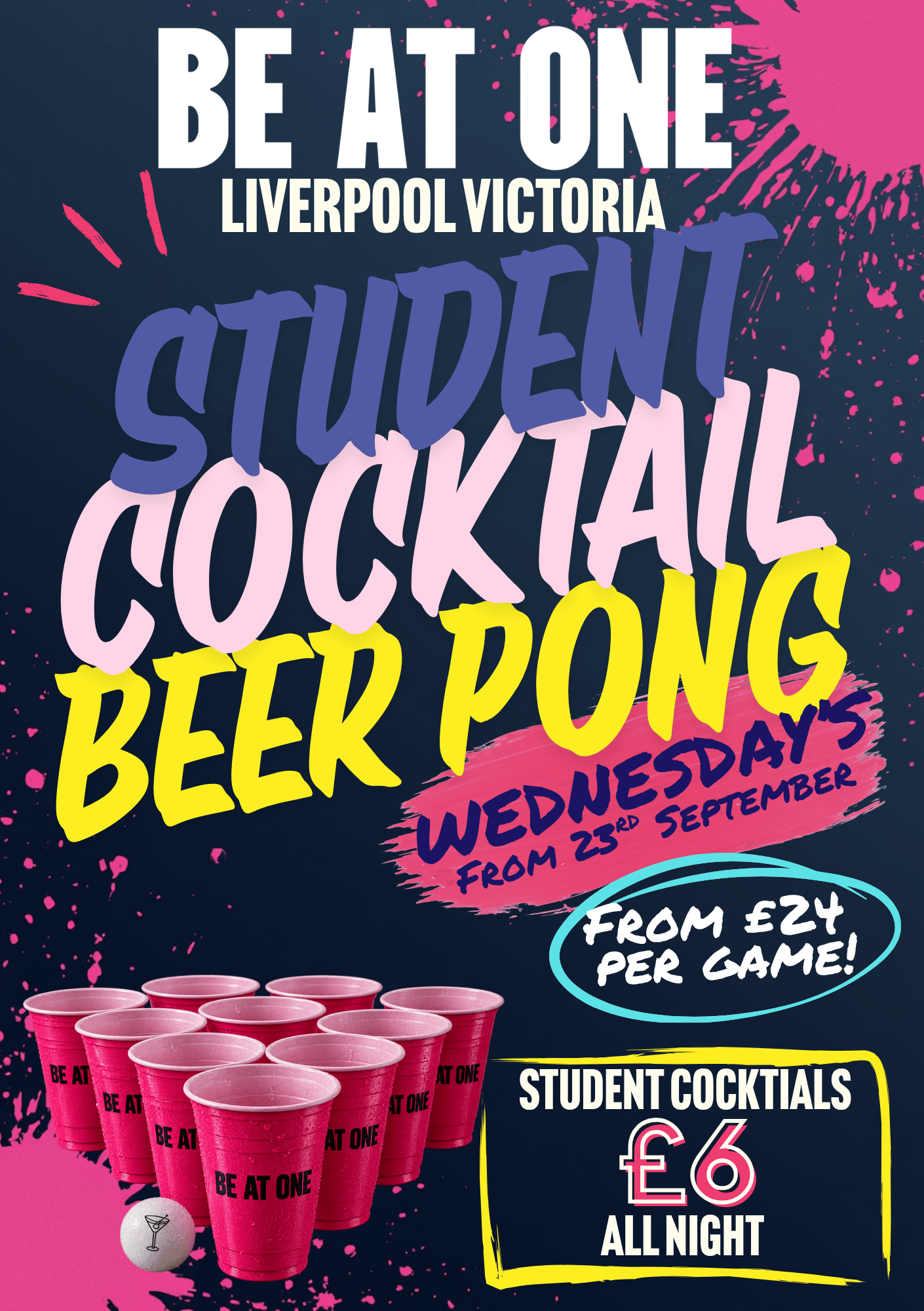 Student Beer Pong