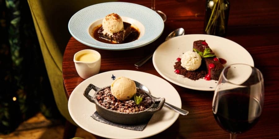 Gift Cards for Special Occasions at The Chapter Collection