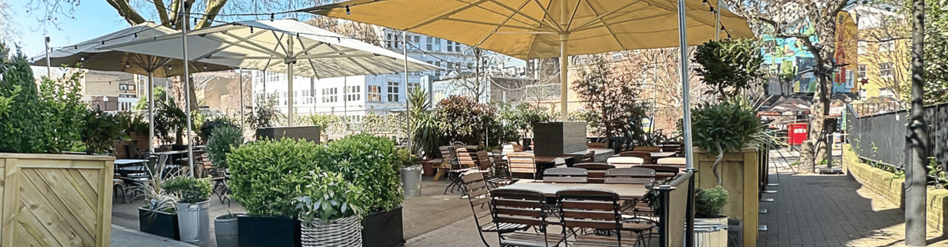 Beer Garden at Duke of Sussex Lambeth
