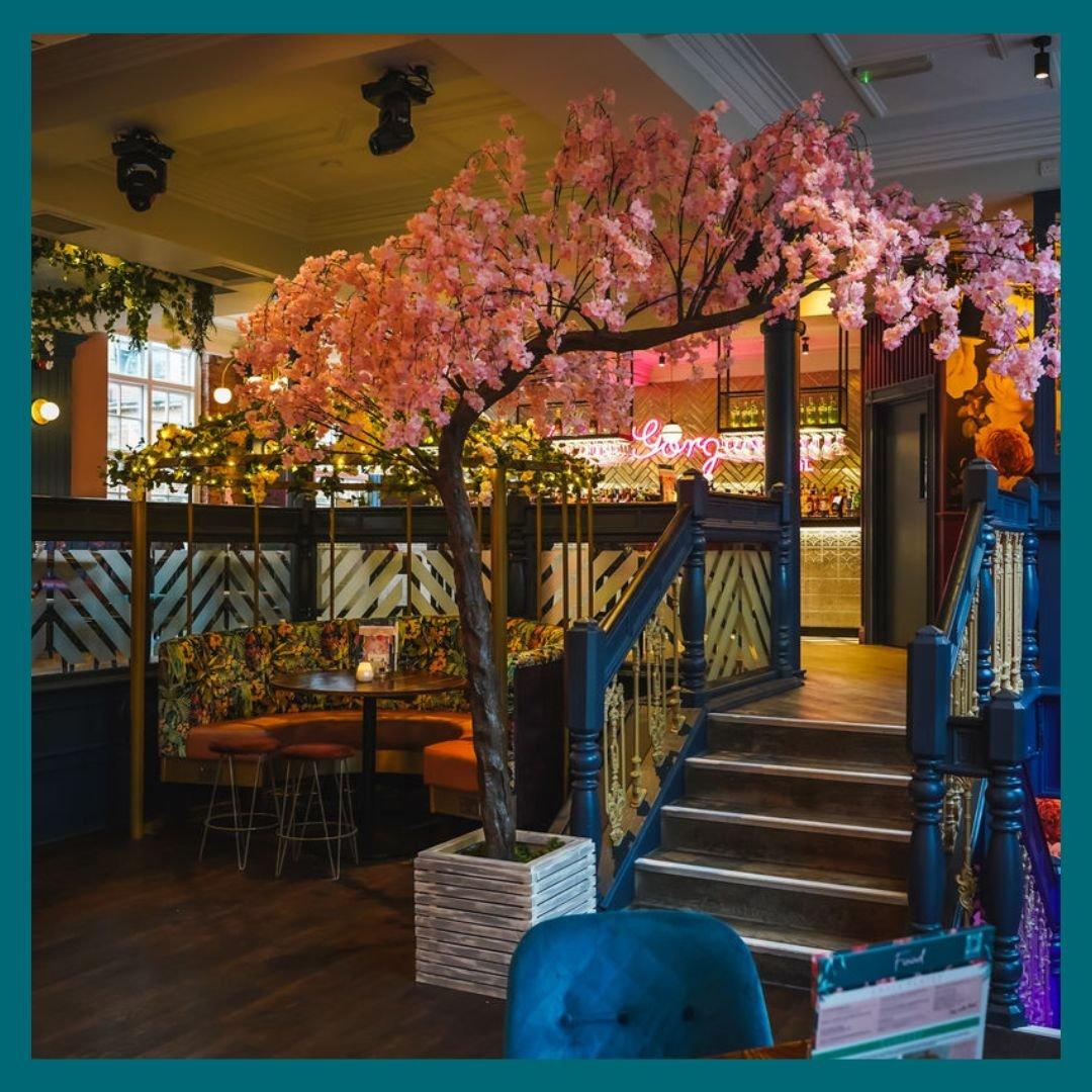 Slug & Lettuce Friar St Reading blossom tree