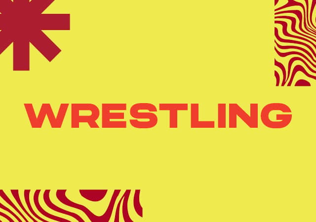 Live from Nashville, TN - SummerSlam - Sat 30th July - Book Now
