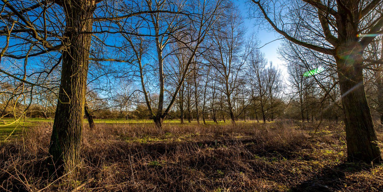 Explore the local landscape on our doorstep.