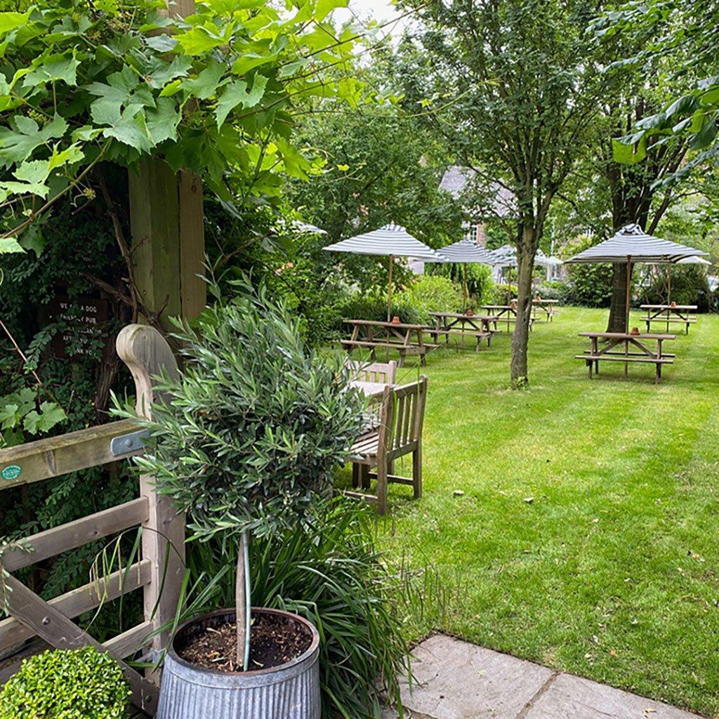 The Curzon Arms