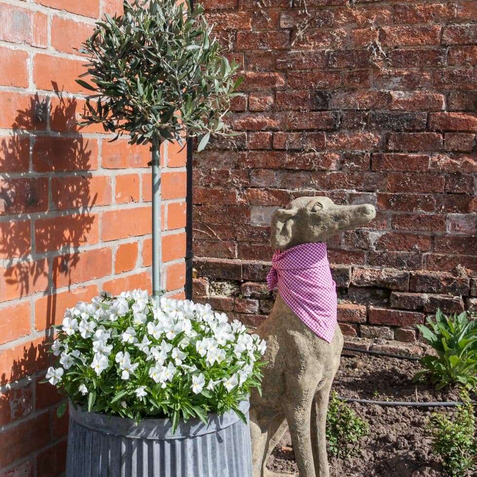 The Langton Arms Big Spruce Up