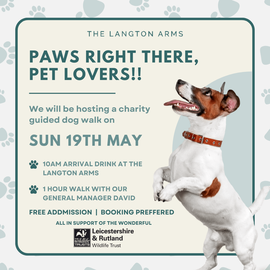 Charity Dog Walk