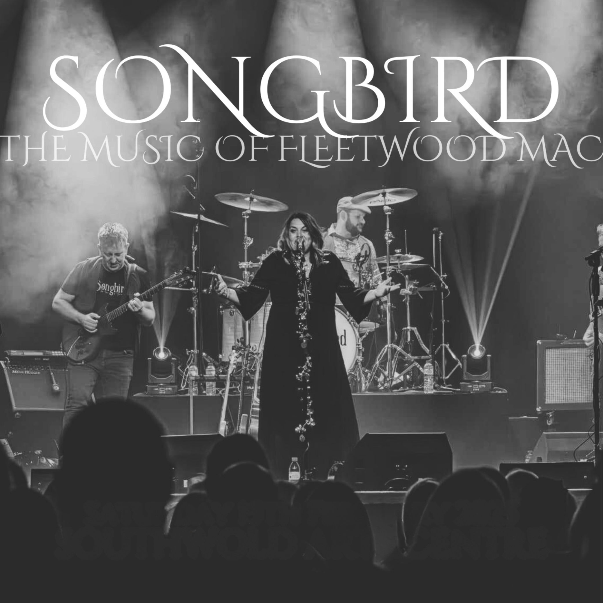 Songbird - the music of Fleetwood Mac