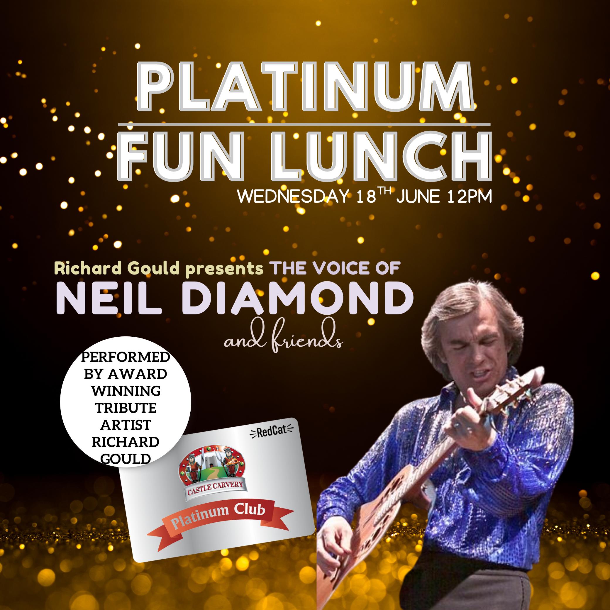 Platinum Fun Lunches 