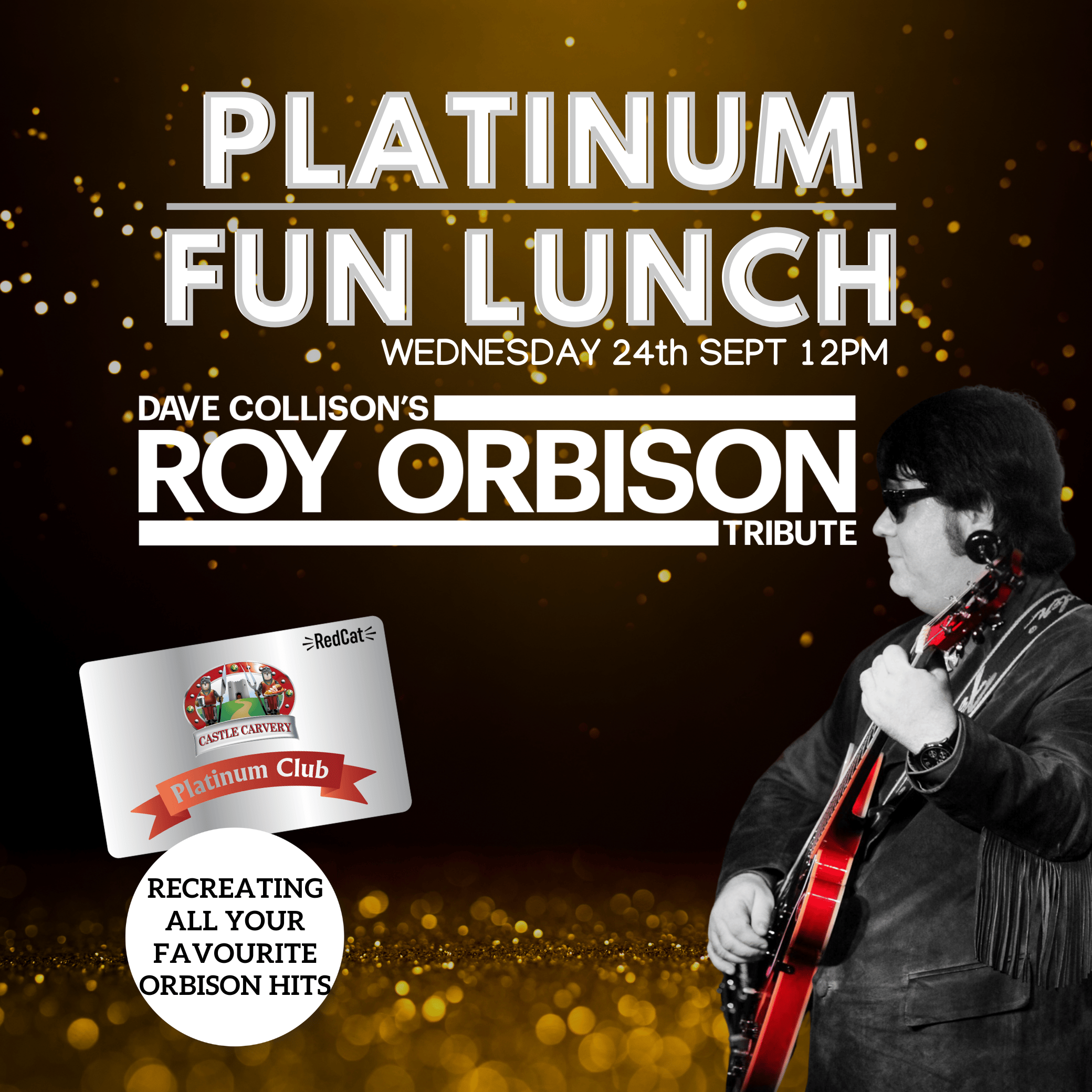 Platinum Fun - Roy Orbison Tribute 