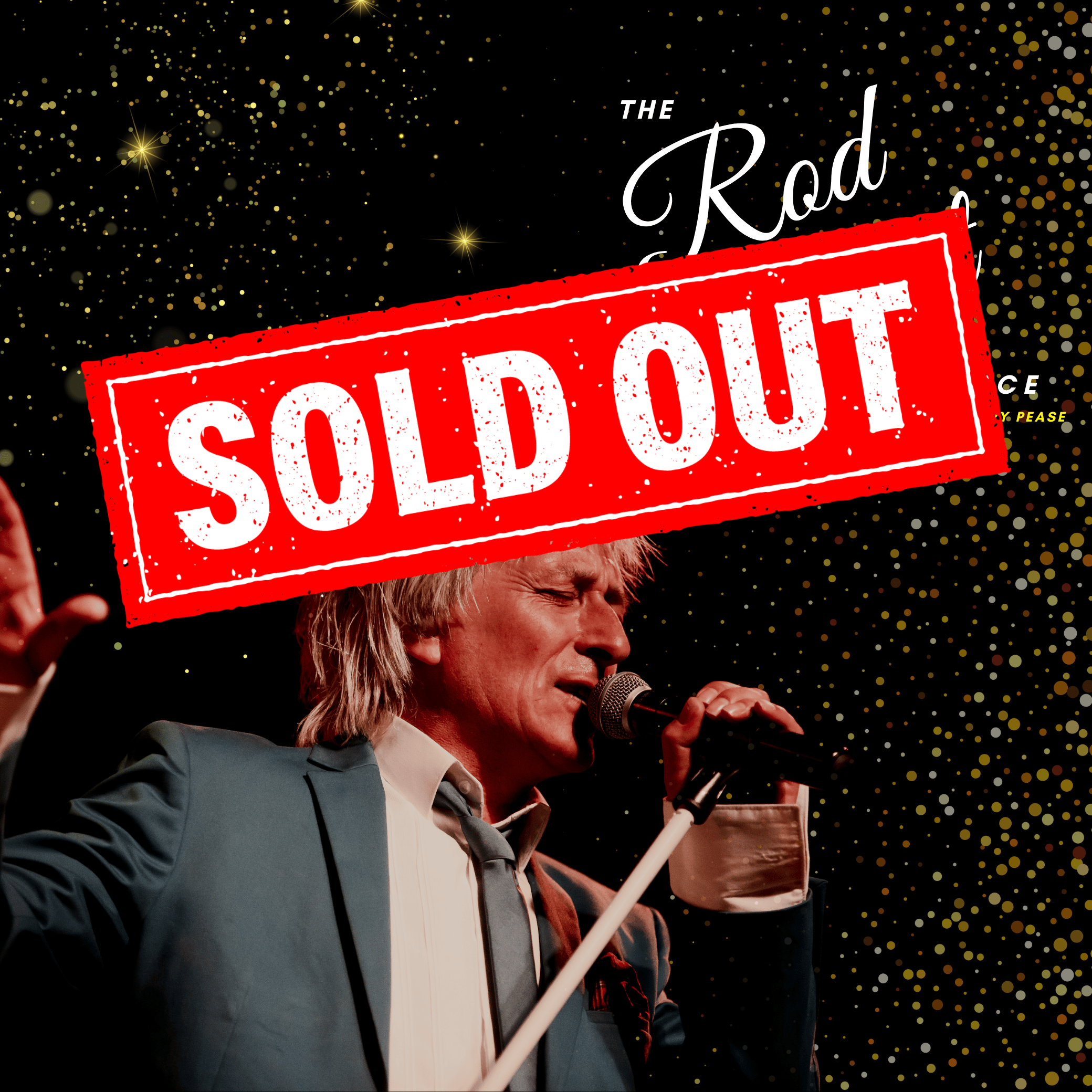 Rod Stewart Experience