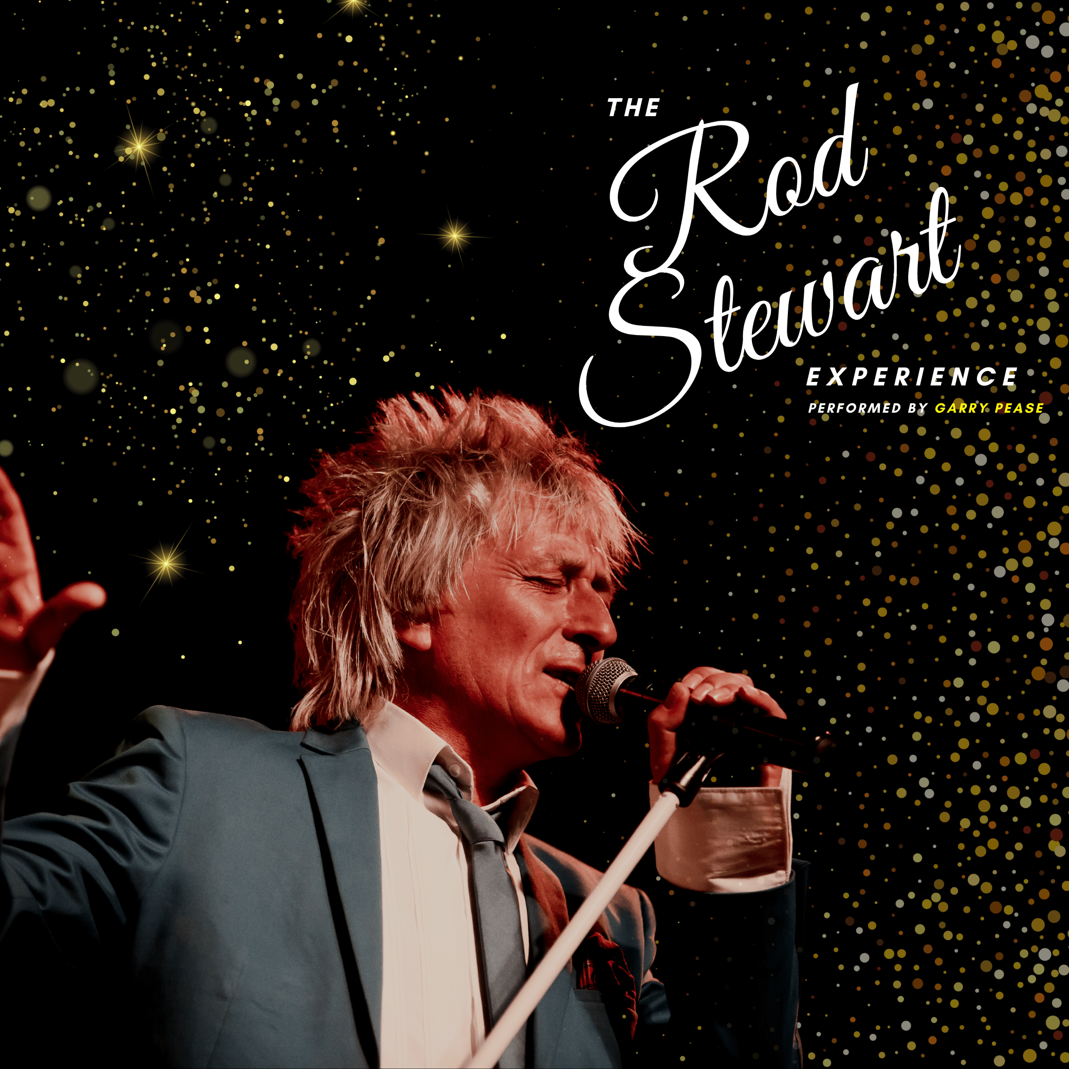 Festive Fun Lunch - The Rod Stewart Experience