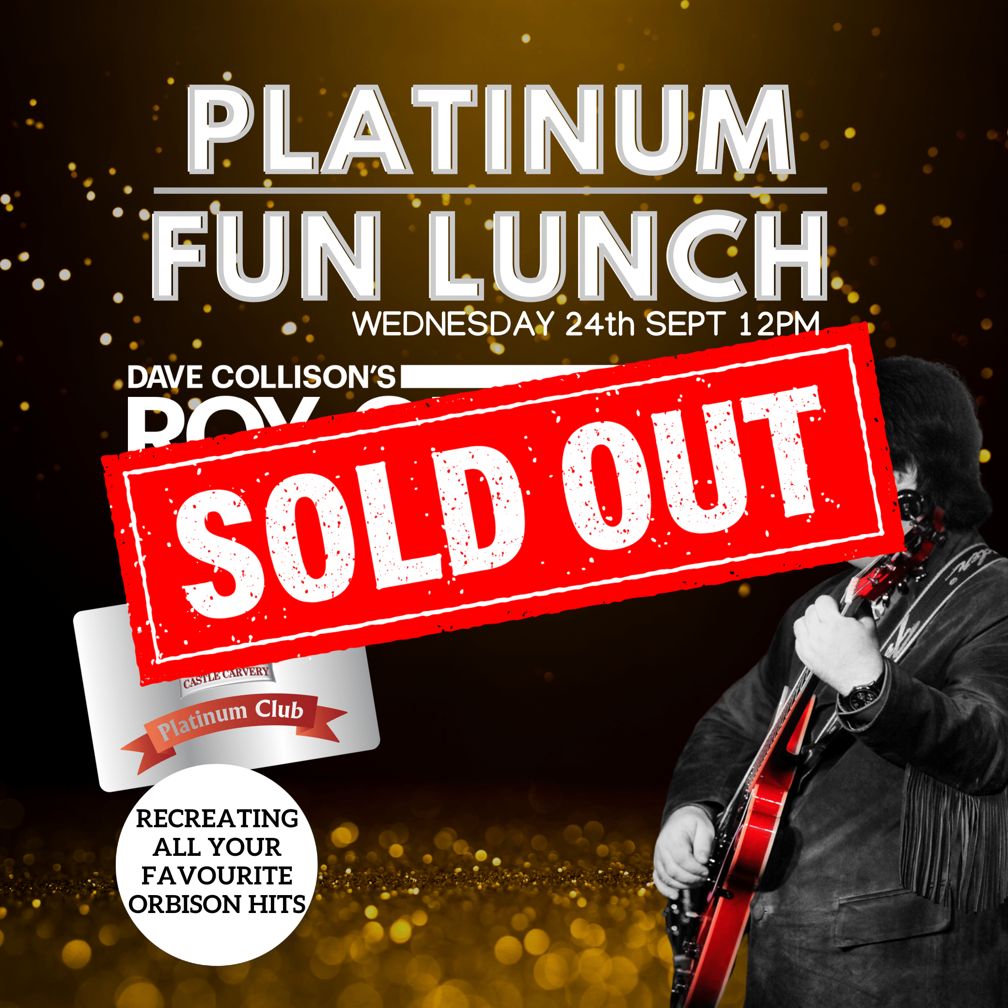 Platinum Fun - Roy Orbison Tribute 