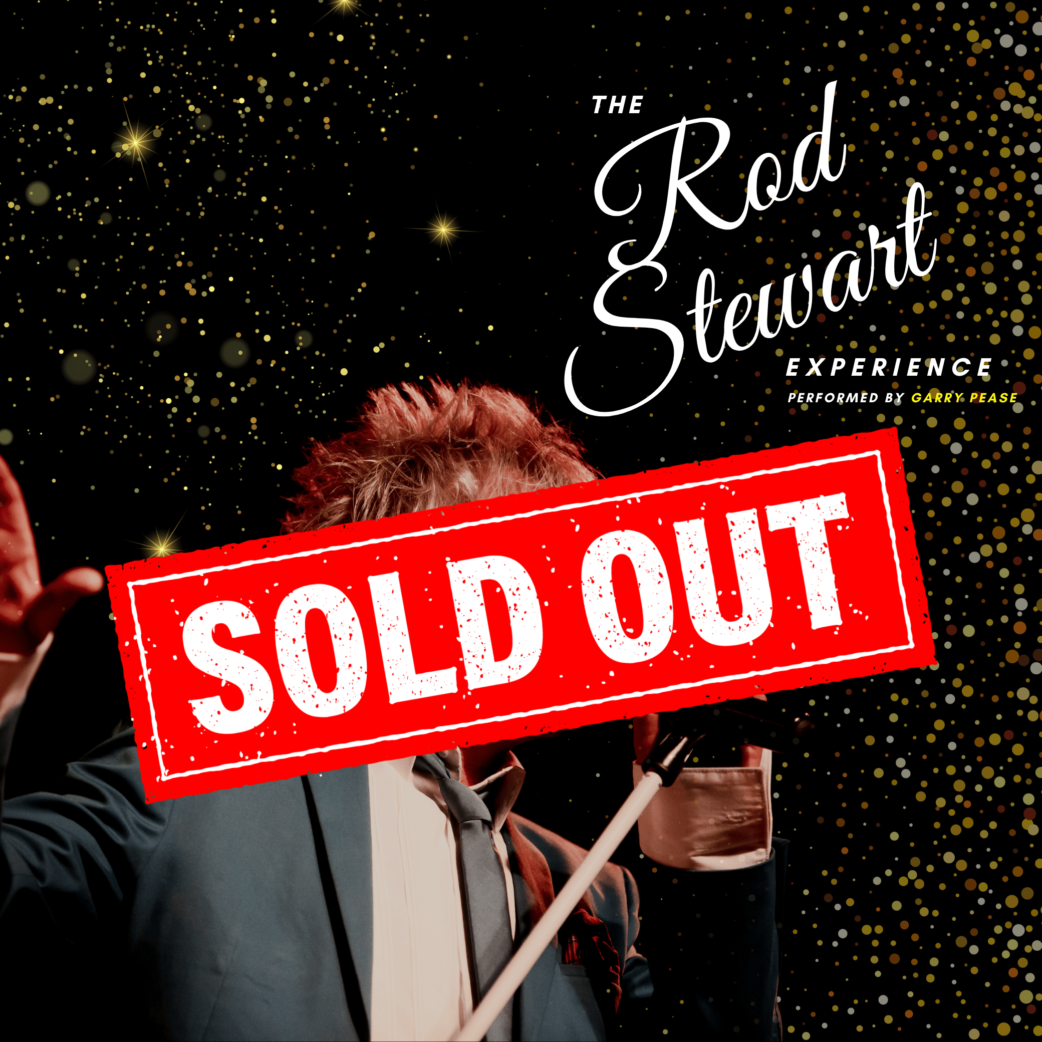 Festive Fun Lunch - The Rod Stewart Experience