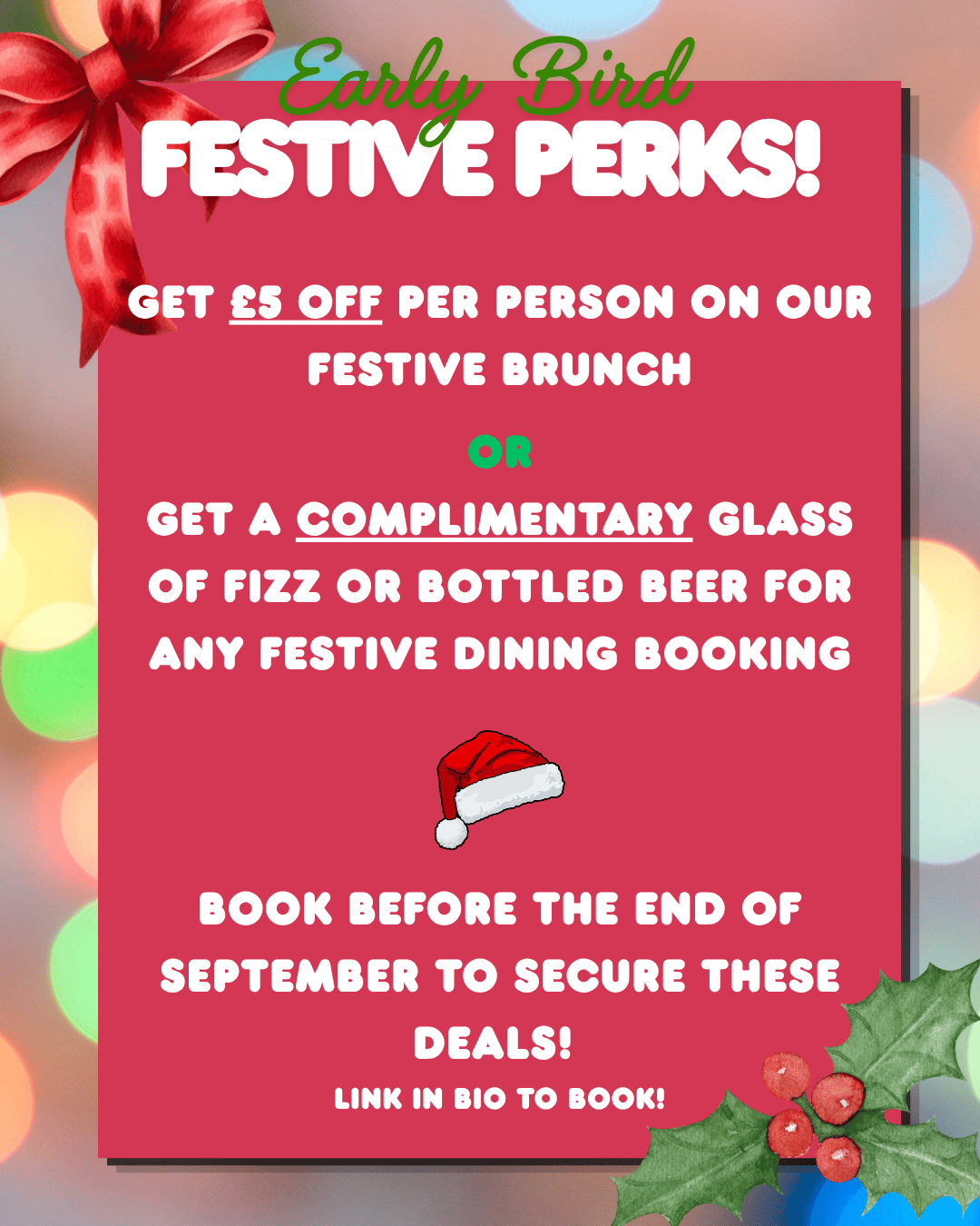 EARLY BIRD CHRISTMAS 2026 DEALS!
