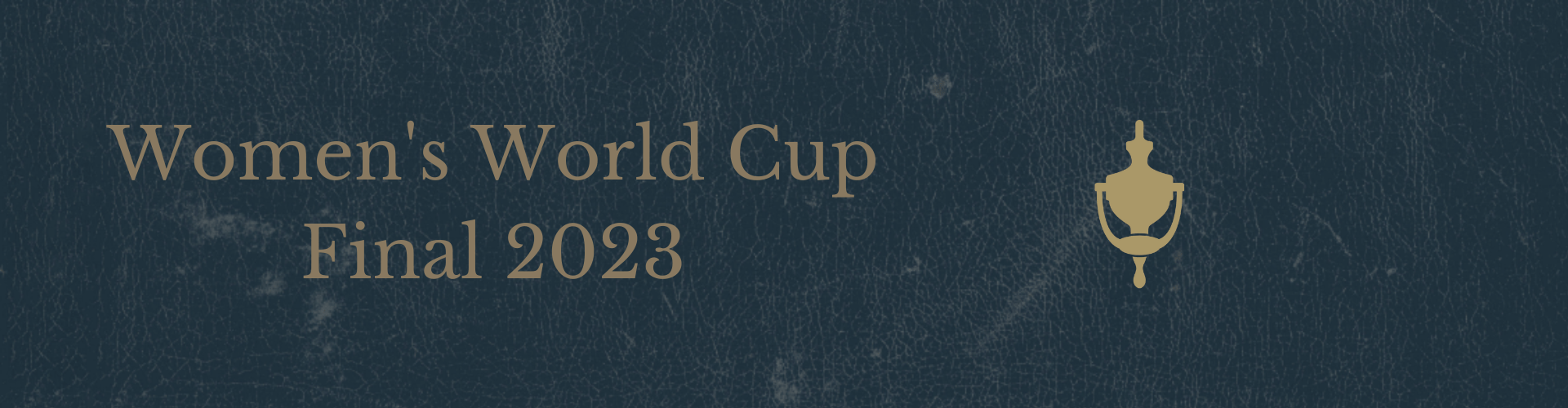 Women's World Cup Final