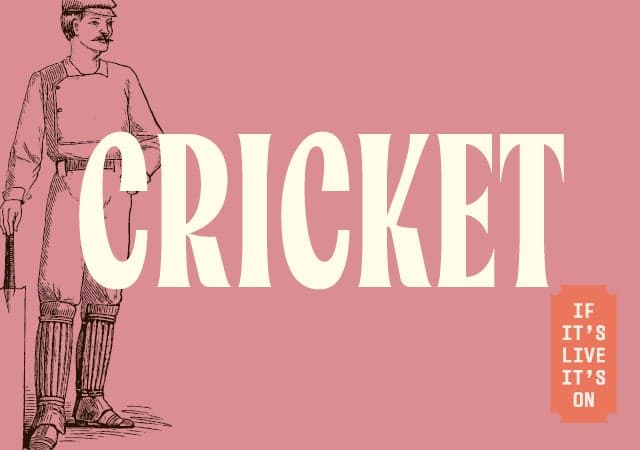 Watch live cricket at Social Pub & Kitchen