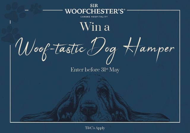 Woof-tastic Dog Hamper