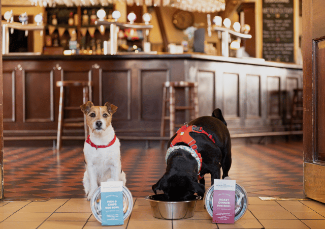 2024 - P&D - Dog Friendly - Image Slider