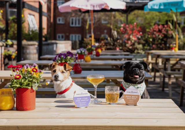 2024 - P&D - Dog Friendly - Image Slider