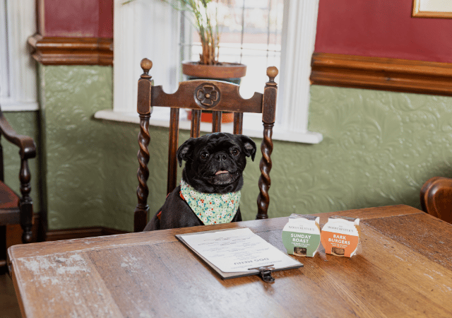 2024 - P&D - Dog Menu Photography