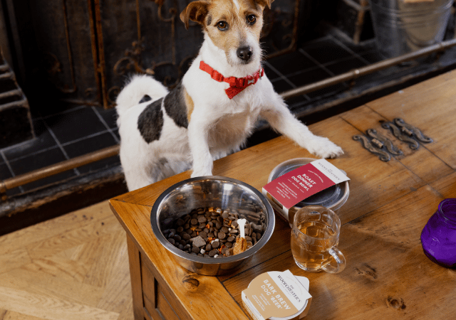 2024 - P&D - Dog Menu Photography