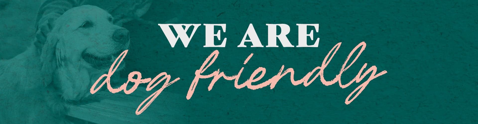Dog Friendly Pubs Near Me