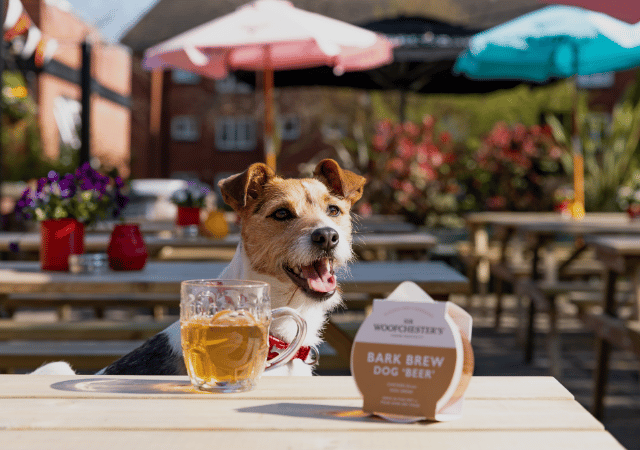 2024 - P&D  - Dog Friendly - Image Slider