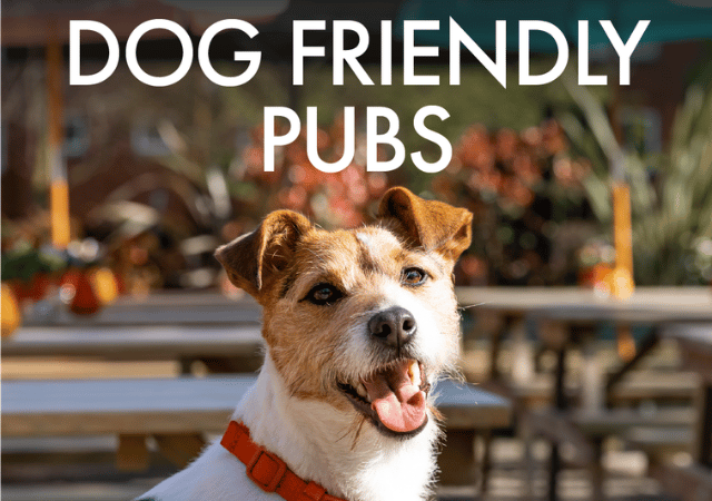 Dog Friendly Pubs