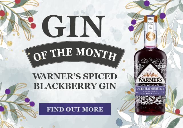 Gin of the Month - Verano Pineapple Gin