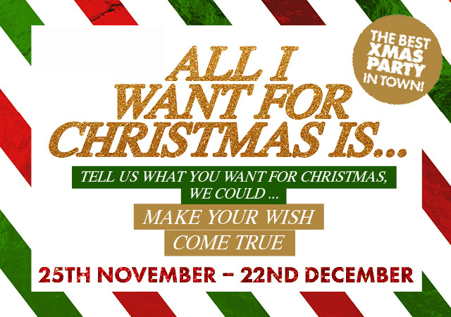 All I Want For Christmas Is...