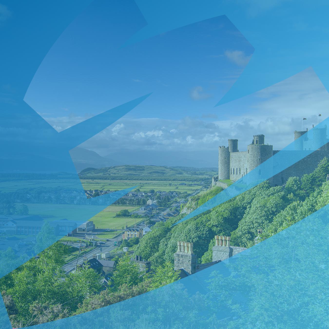 Decorative header image object-cover
