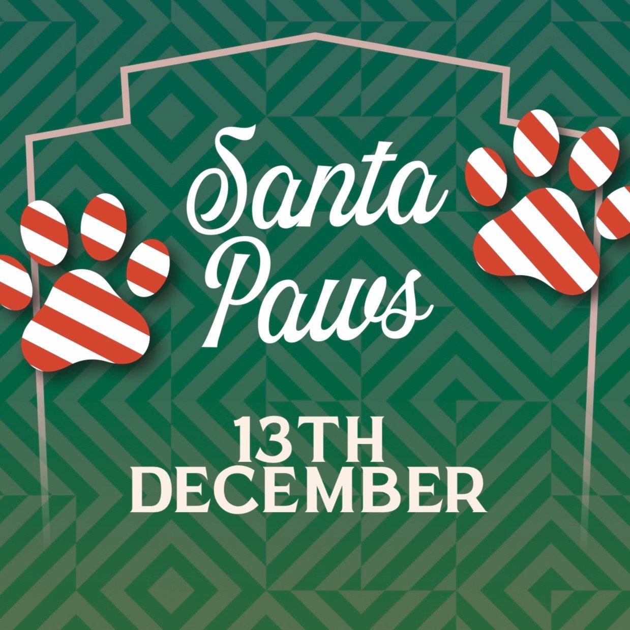 Santa Paws