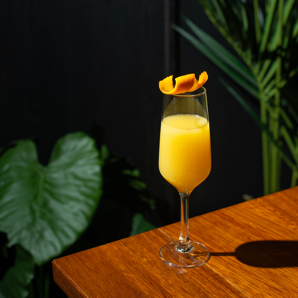 A Mimosa at Boxhall in Liverpool Street