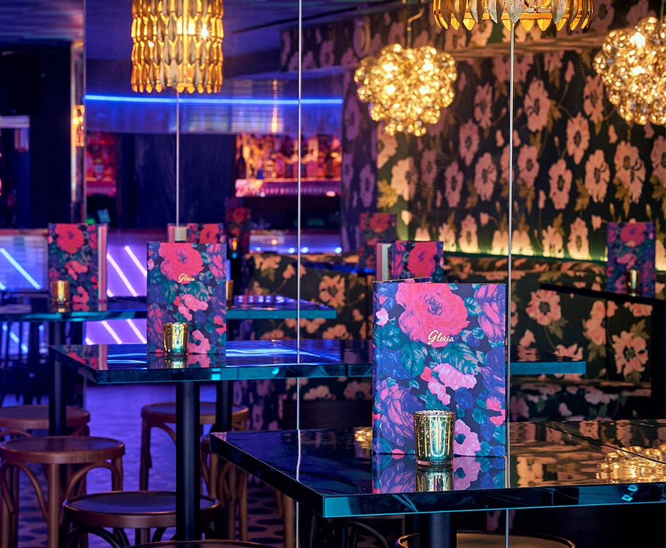 NC Brand Intro Gloria