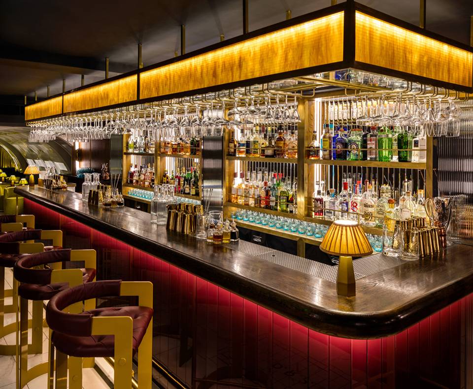 NC Brand Intro Disrepute