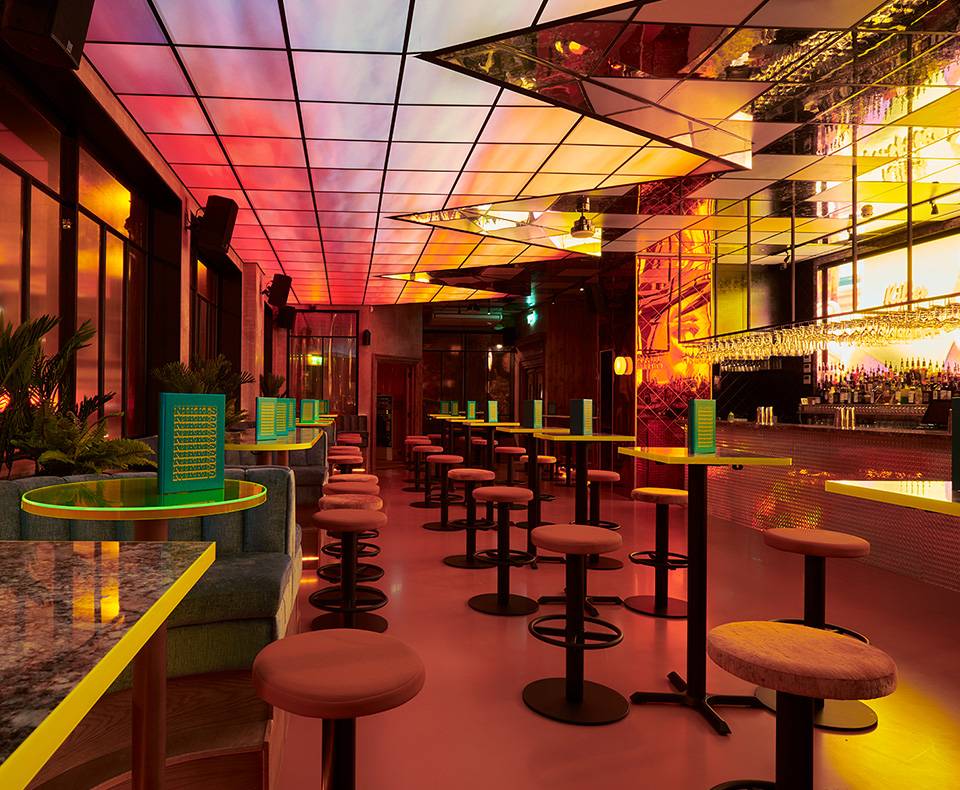 NC Brand Intro Nikkis